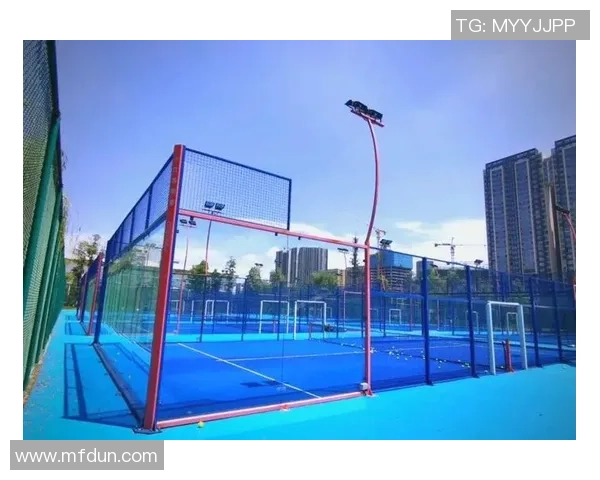 成都网球队的速度之谜：揭开网球巨献的神秘面纱